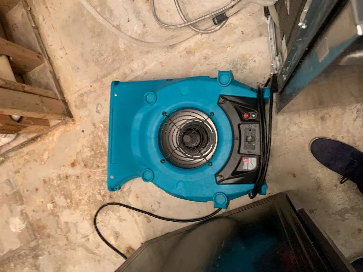 Air mover drying equipment for Mold Remediation & Removal in Hackettstown